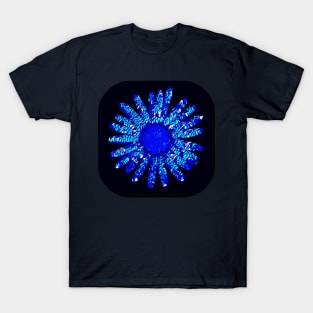 Daisy Festoon T-Shirt